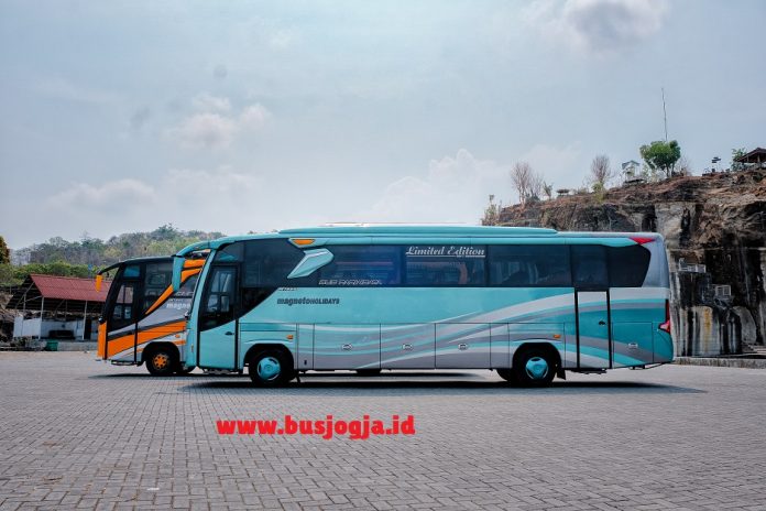 bus medium long jogja