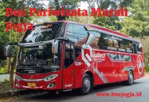 Bus Pariwisata Murah Jogja Solusi Hemat Rombongan Bus Pariwisata Murah Jogja